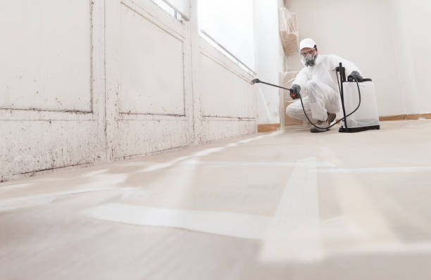 Black mold remediation team in Hope Mills